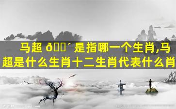 马超 🌴 是指哪一个生肖,马超是什么生肖十二生肖代表什么肖